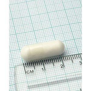 Acetyl-L-Carnitin Lamberts