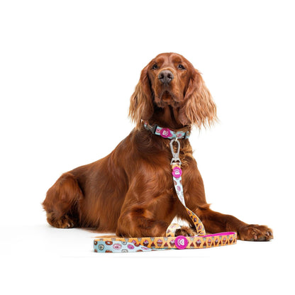 Hundehalsband CUPCAKES Dukier – Größe XS XS