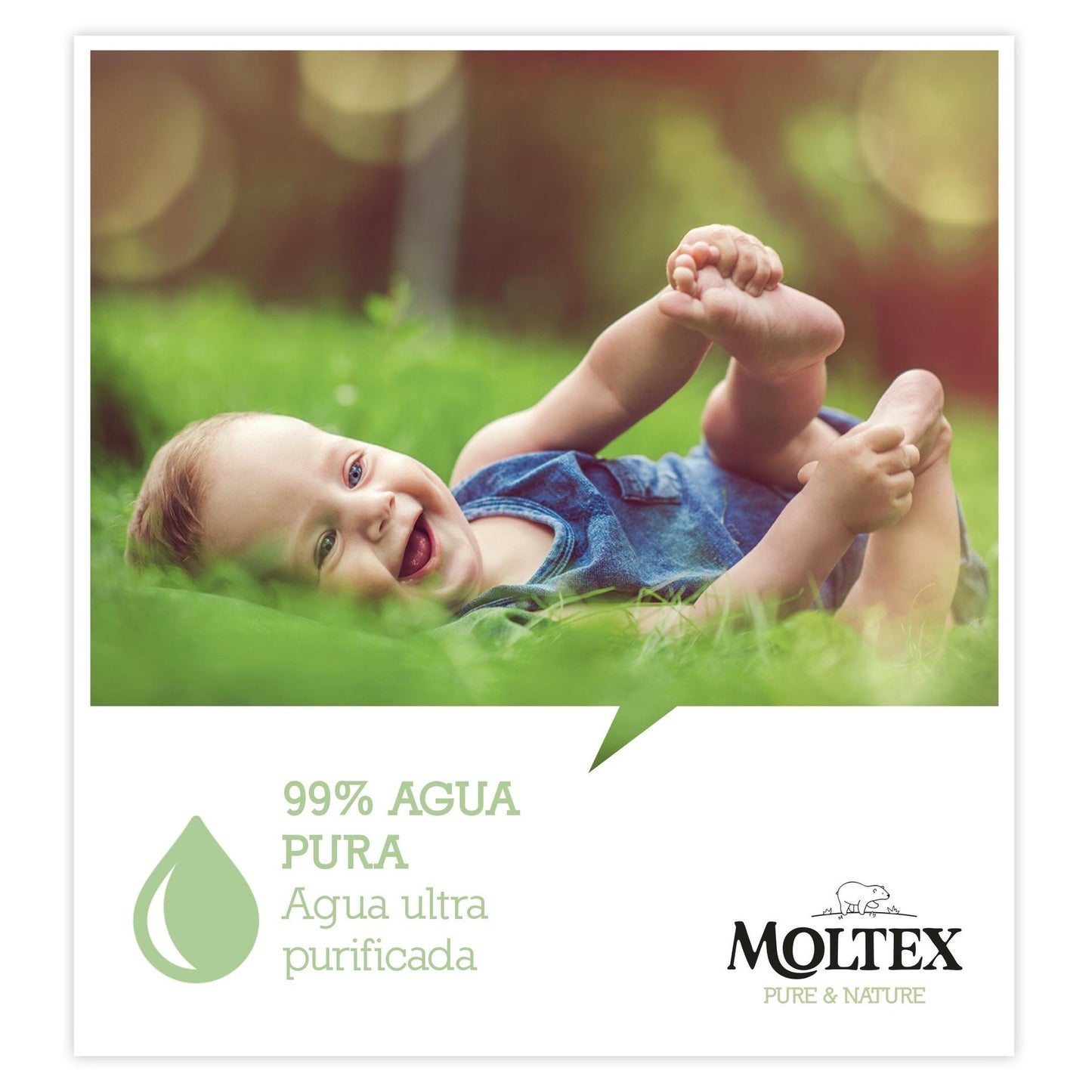 Moltex Pure & Nature wipes 60 units