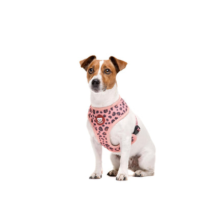 Wendbarer Hundegurt LEOPARD Dukier XL