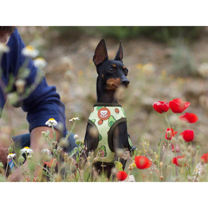 Wendbares Hundegeschirr AVOCADO Dukier XL