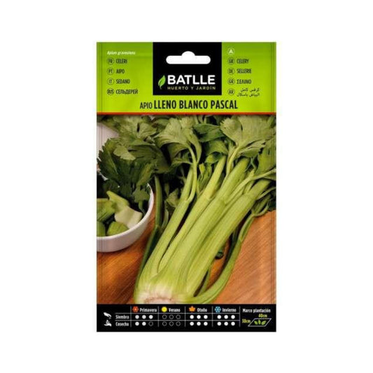 Zaden van witte selderij Pascal Batlle