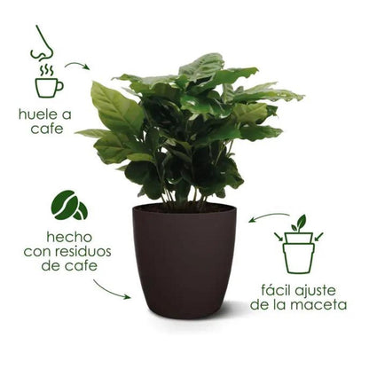Doniczka z recyklingu Coffee Collection Round Elho 18 cm