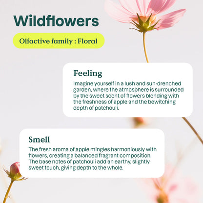 Öko-Nachfüllpackung für Waschmittel Wildflowers Nature + Technologie 2 l 80 Waschgänge