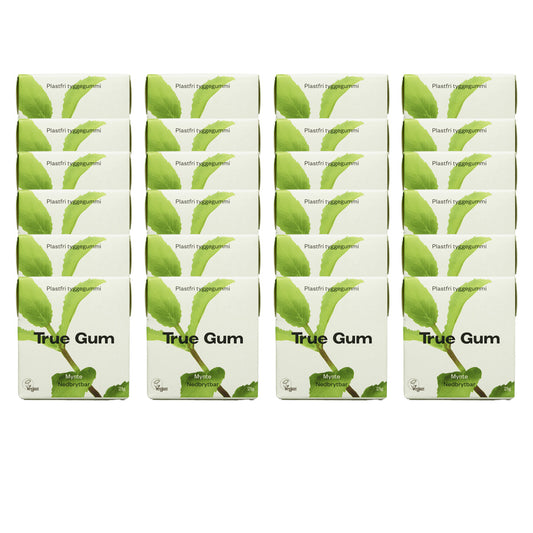 Pack 24x Chewing-gums sans plastique à la menthe fraîche True Gum 21 g
