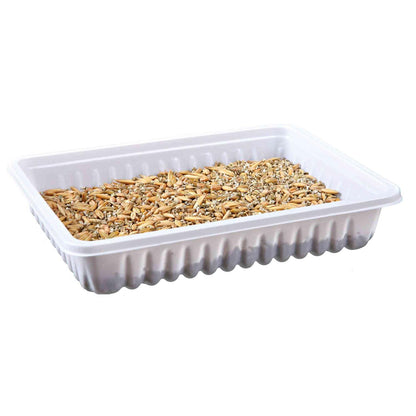 Trixie Plateau d'herbe pour rongeurs 100 g