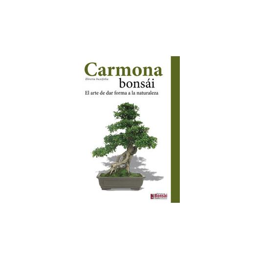 Przewodnik Carmona bonsai