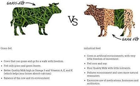 Natruly Organic Whey Protein Chocolate 350 g 350 g