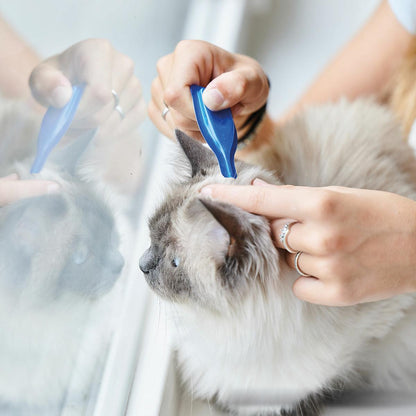 Calming Spot On  Beruhigende Pipetten für Katzen Beaphar 3x0,4 ml
