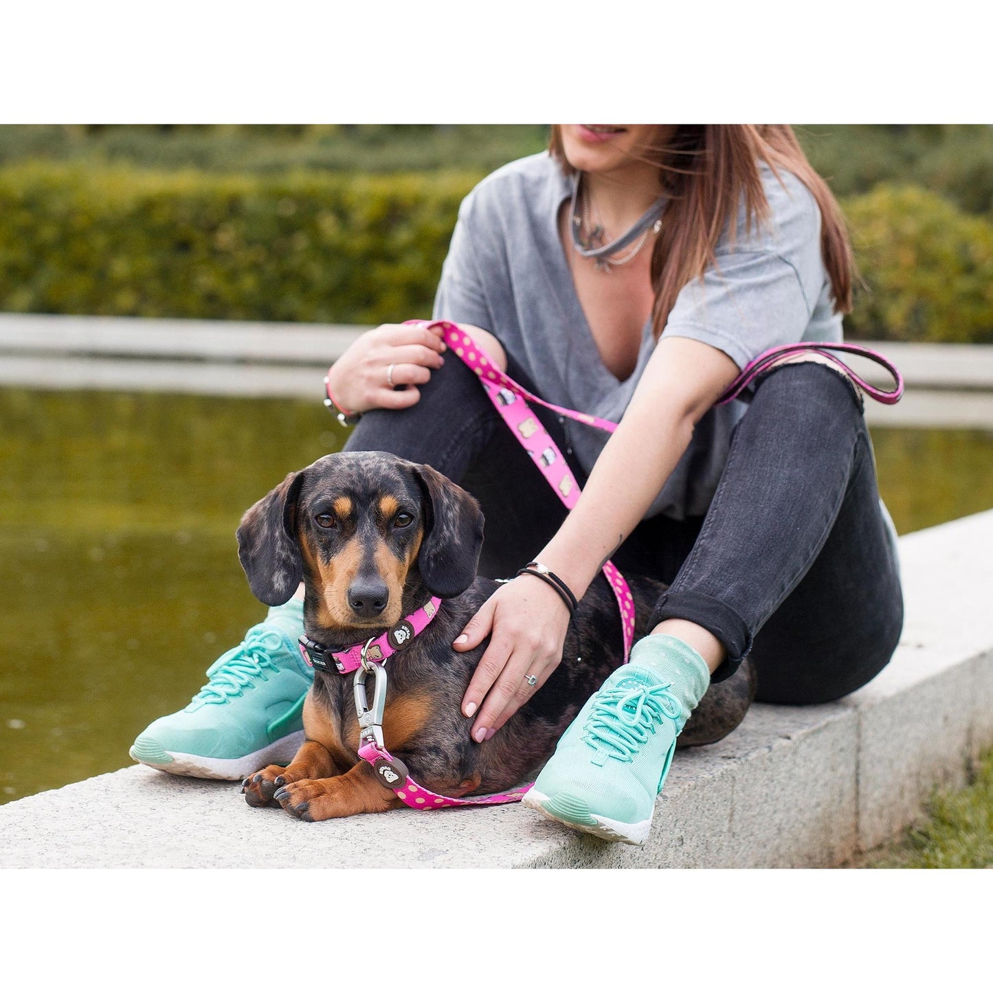 Klassischer Hundegurt DOGTELLA Dukier L