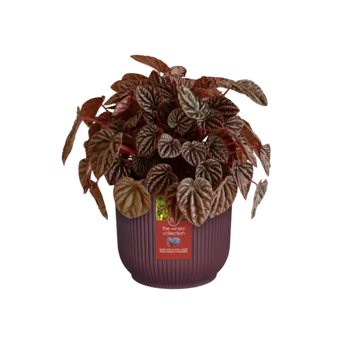 Elho Bordeaux Red Winery Recycled Plant Pot 18 cm