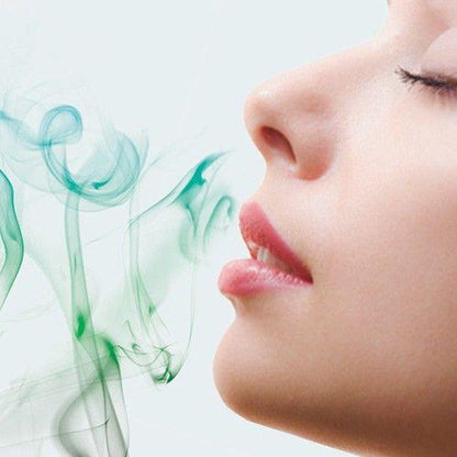 Nortene Artificial Grass Fragrance 750 ml