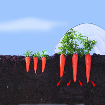 Film de culture pour légumes précoces Climafilm Nortene 2 x 10 m