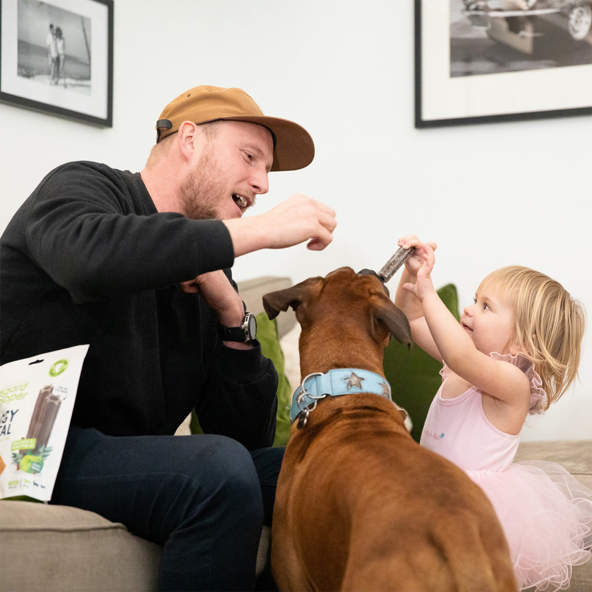Doggy Dental für große Hunde Apfel und Eukalyptus Edgard Cooper 7 Sticks