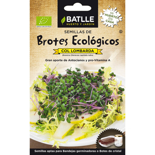 Ekologiczne nasiona czerwonej kapusty do kiełkowania Batlle