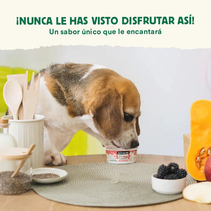 Wild Balance Frozen Yoghurt for Dogs and Cats with Natural Prebiotics 110 g