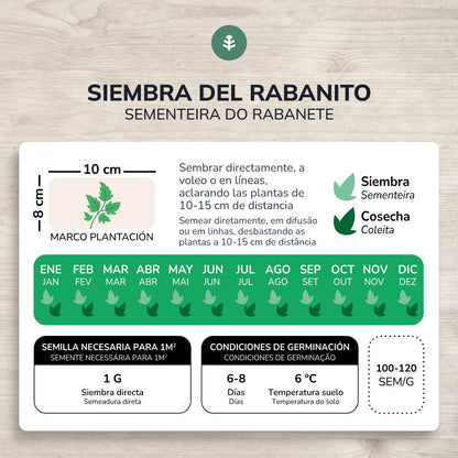 Biologische zaden van Radijs rode ronde saxa Planeta Huerto