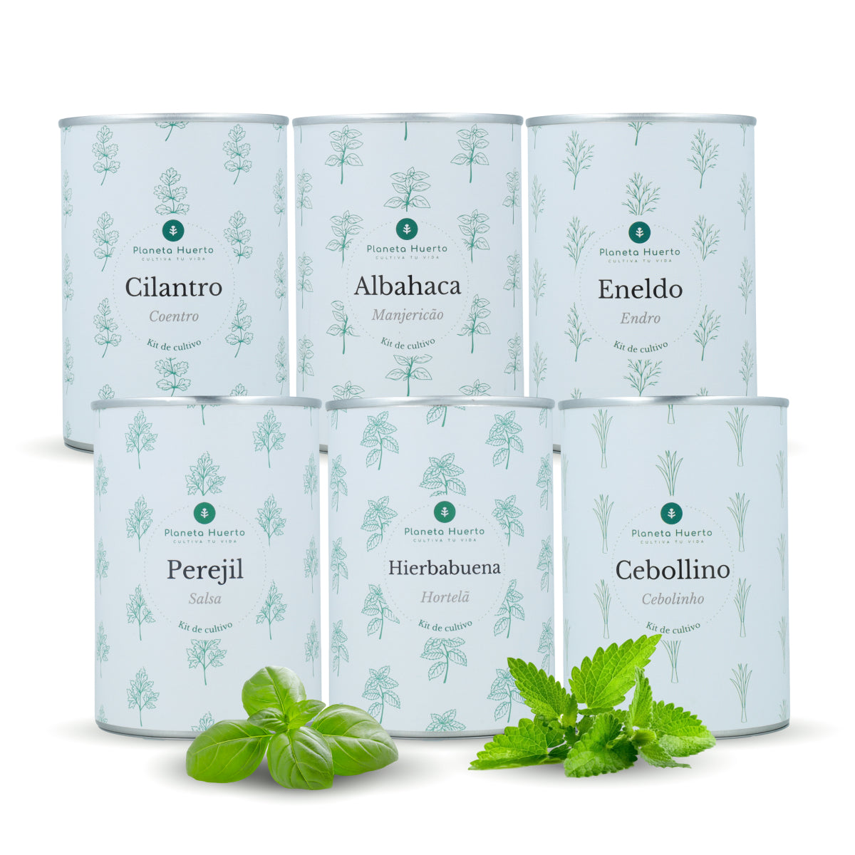 Kit de culture aromatique Coffre Planeta Huerto