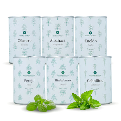 Kit de culture aromatique Coffre Planeta Huerto