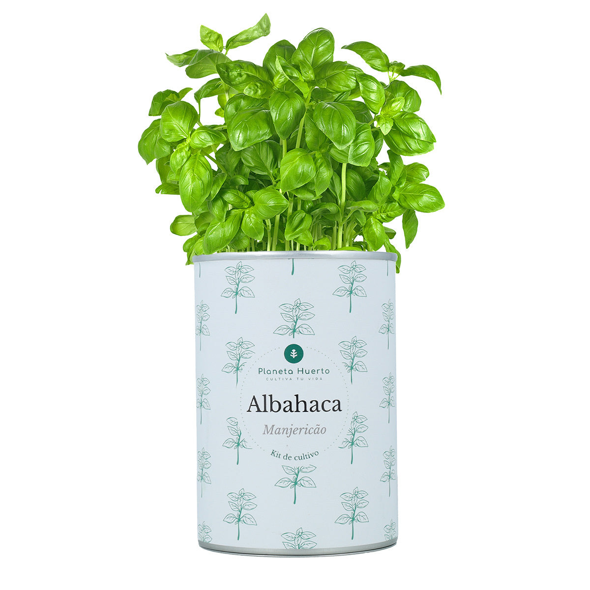 Aromatischer Anbau Kits Chest Pack Planeta Huerto