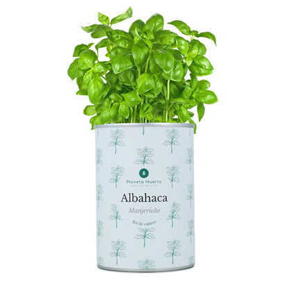 Aromatischer Anbau Kits Chest Pack Planeta Huerto