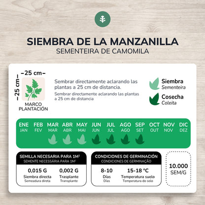 Organiczne nasiona rumianku Planeta Huerto