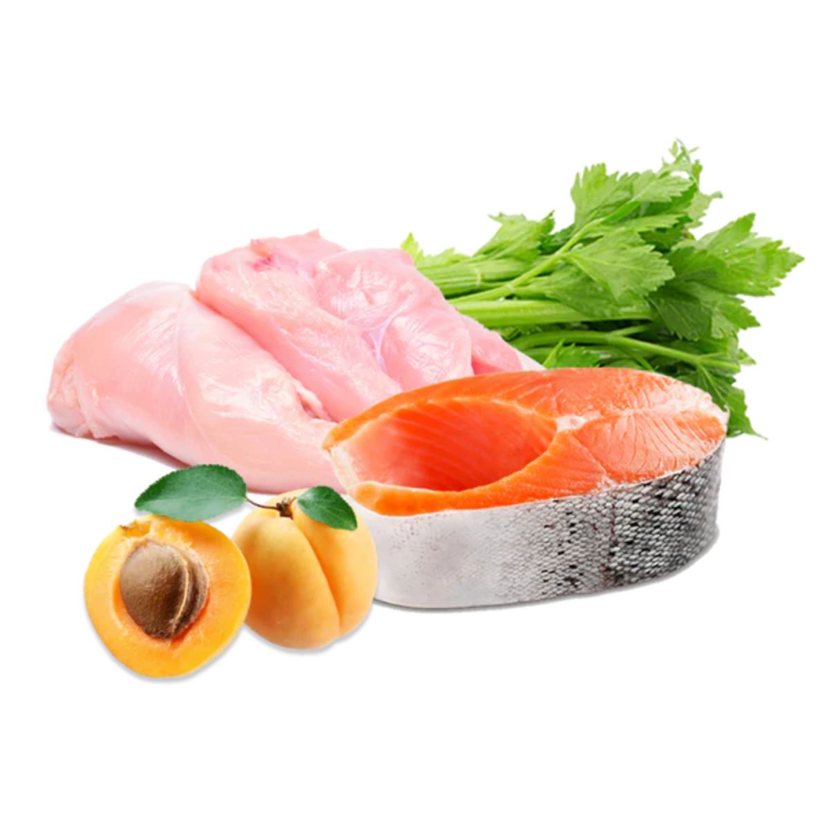Barf våtfoder för hundar med kalkon och lax Select BIO Puromenu 400 g