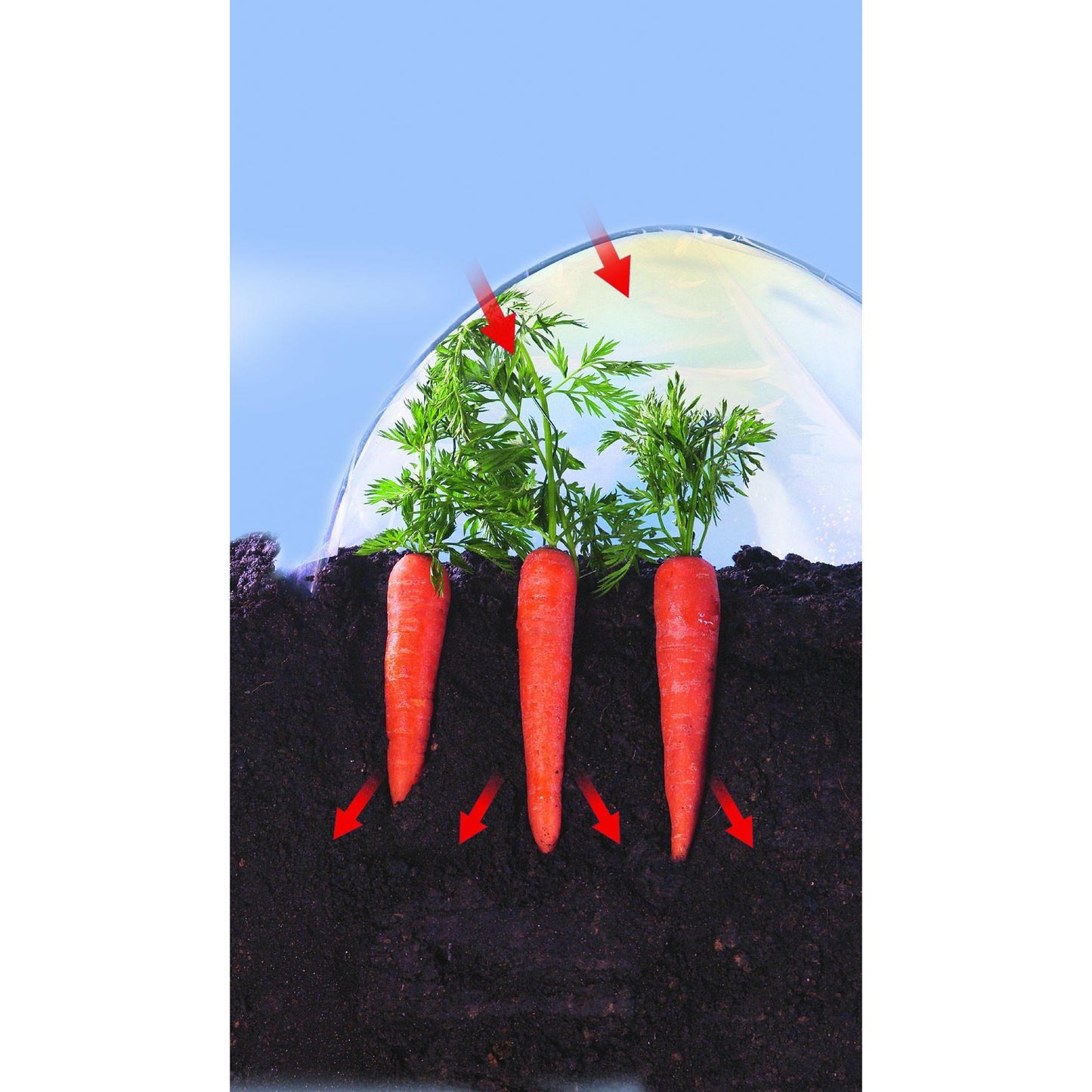 Film de culture pour légumes précoces Climafilm Nortene 2 x 10 m