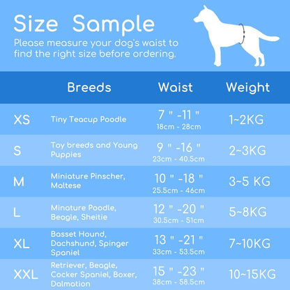 Nobleza Hündinnenwindeln XS 12 Stück