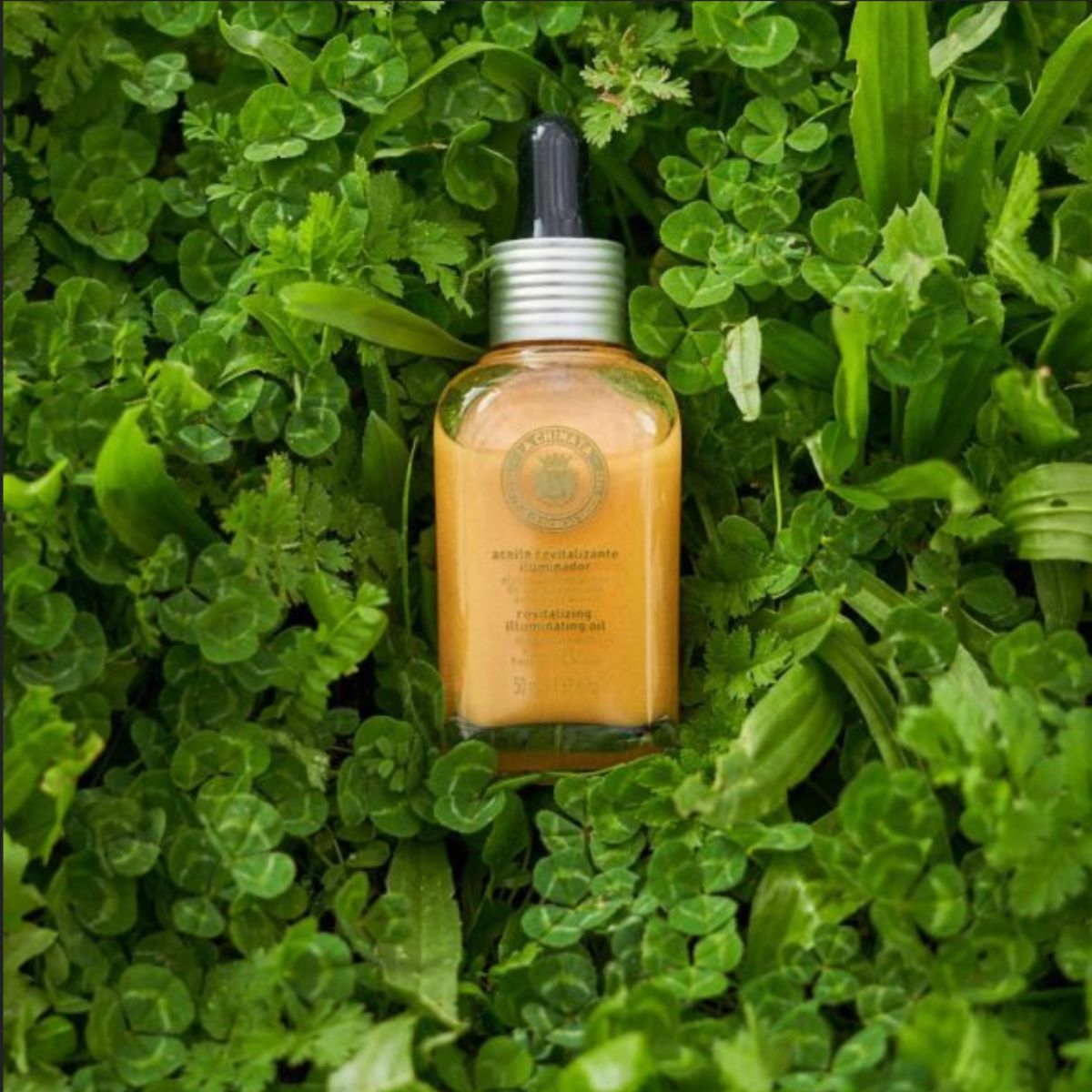 Revitaliserande och uppiggande olja, La Chinata, 50 ml