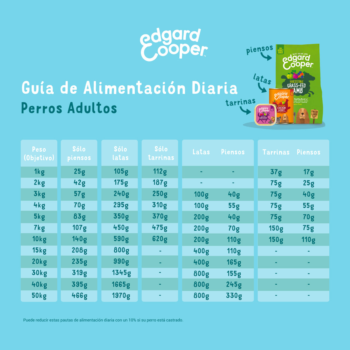 Hundfoder med norsk lax Edgard & Cooper 1 kg