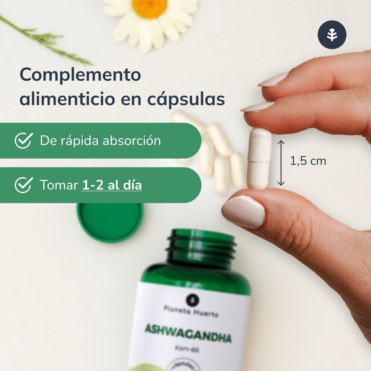 2-pack Ashwagandha KSM-66 Planeta Huerto 60 kapslar