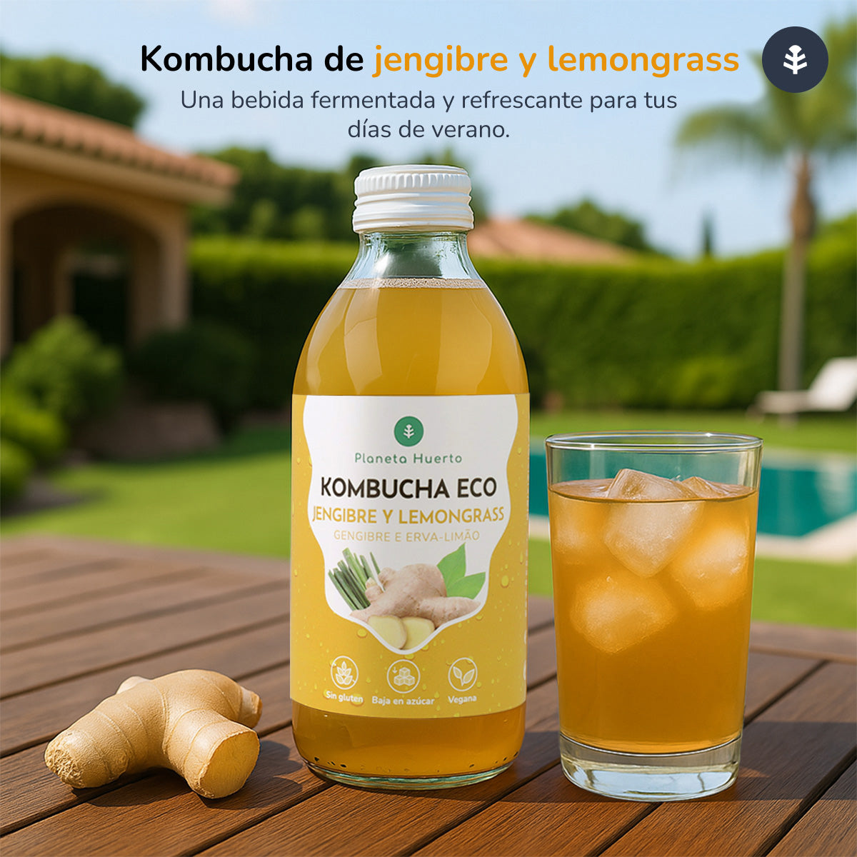 Kombucha ECO Zenzero e citronella Planeta Huerto 330 ml
