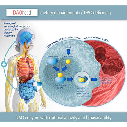 DAOhead® 60 kapsułek z tabletkami odpornymi na działanie żołądka