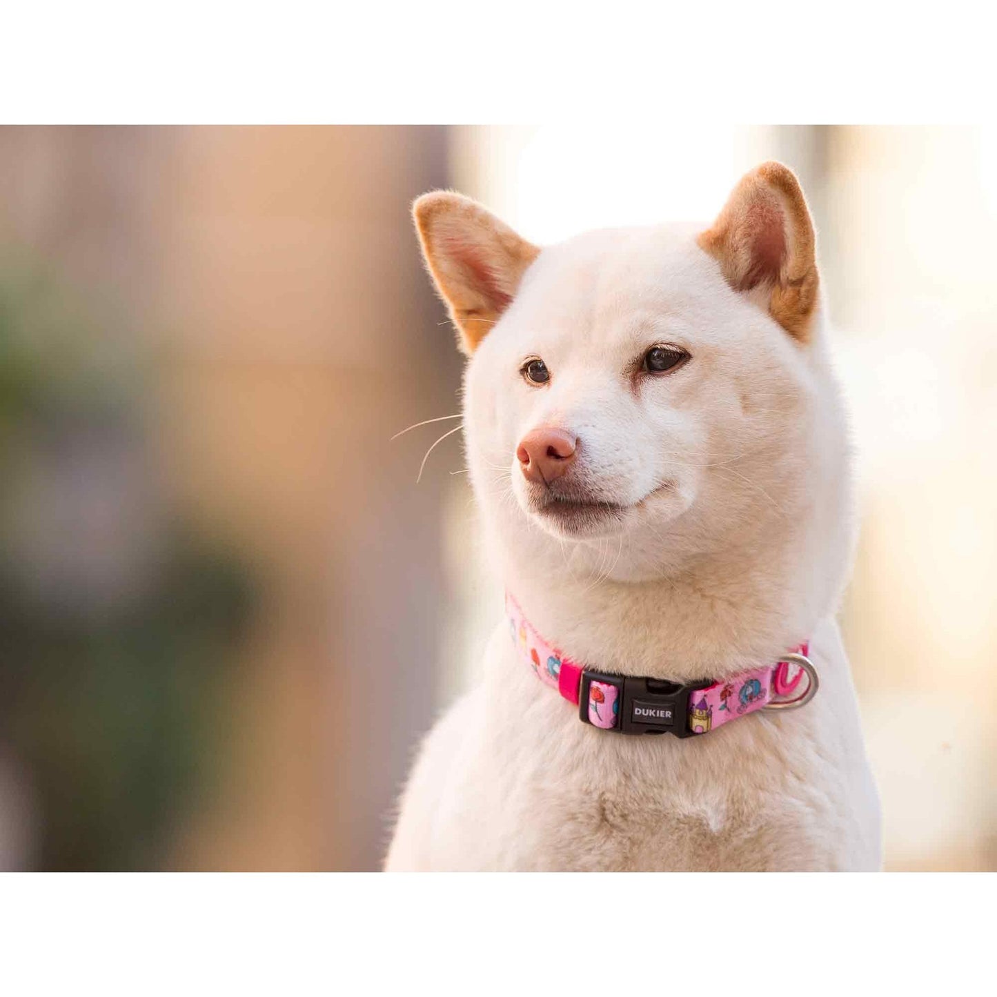 Collier pour chien PRINCESS Dukier M