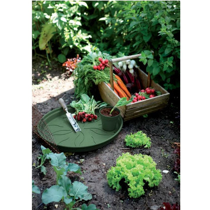 Teller Green Basics Elho Grün 17 cm