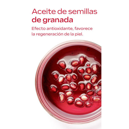 WELEDA Krem pod oczy + krem na dzień (40% zniżki) 12 ml + 40 ml