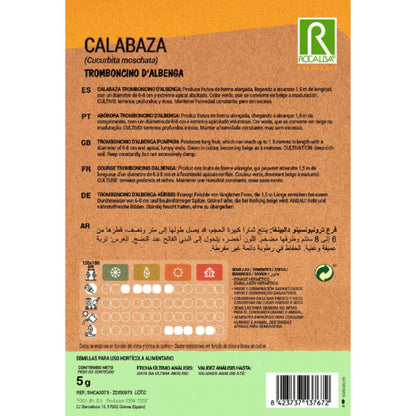 Nasiona dyni tromboncino d'albenga