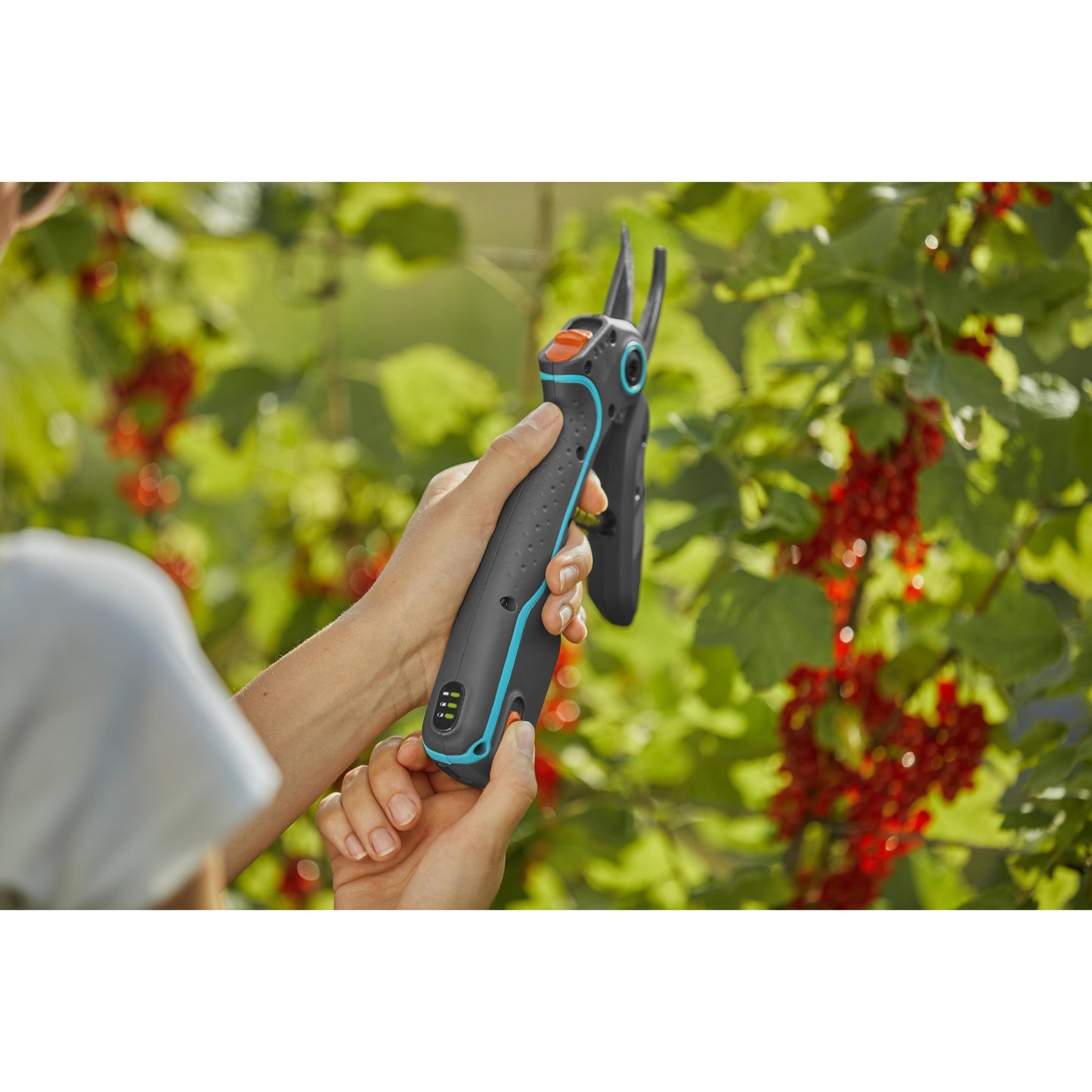 Sécateur à batterie AssistCut GARDENA