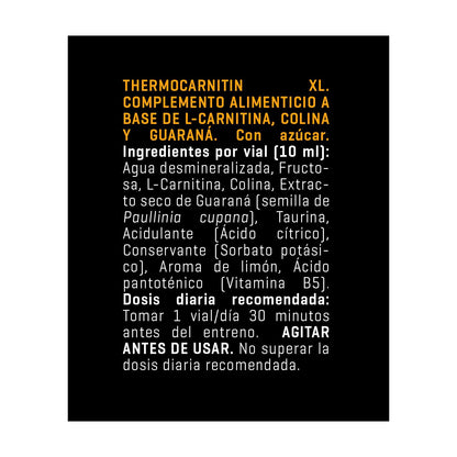 Thermocarnitin XL energie en vetverbranding Powergym