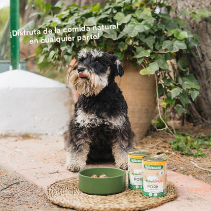 BARF-Dose mit Schweinefleisch und Gemüse für Hunde Wild Balance 400 g