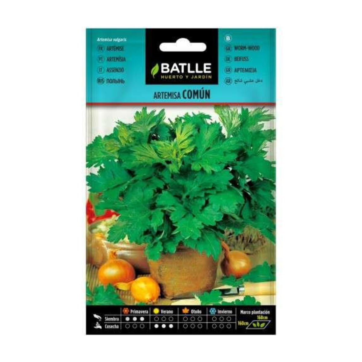 Beifußsamen Batlle