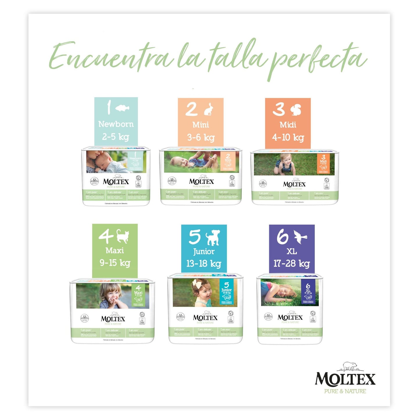 Couches Moltex Pure & Nature T6 (17-28 kg), 35 unités