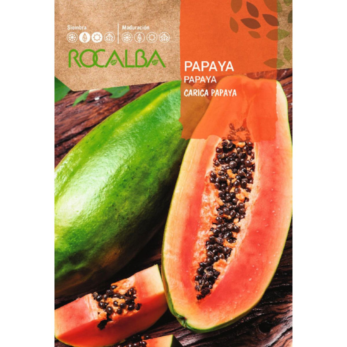 Papaya seeds Carica papaya