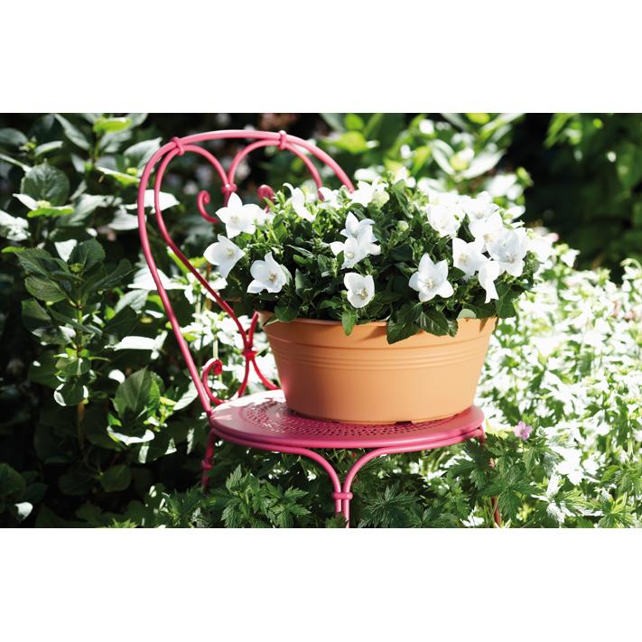 Ciotola rotonda Green Basics Elho Antracite 33 cm