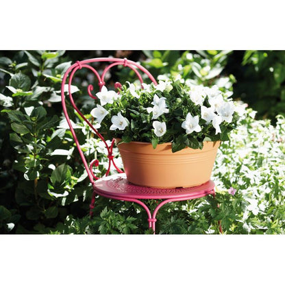 Ciotola rotonda Green Basics Elho Antracite 33 cm