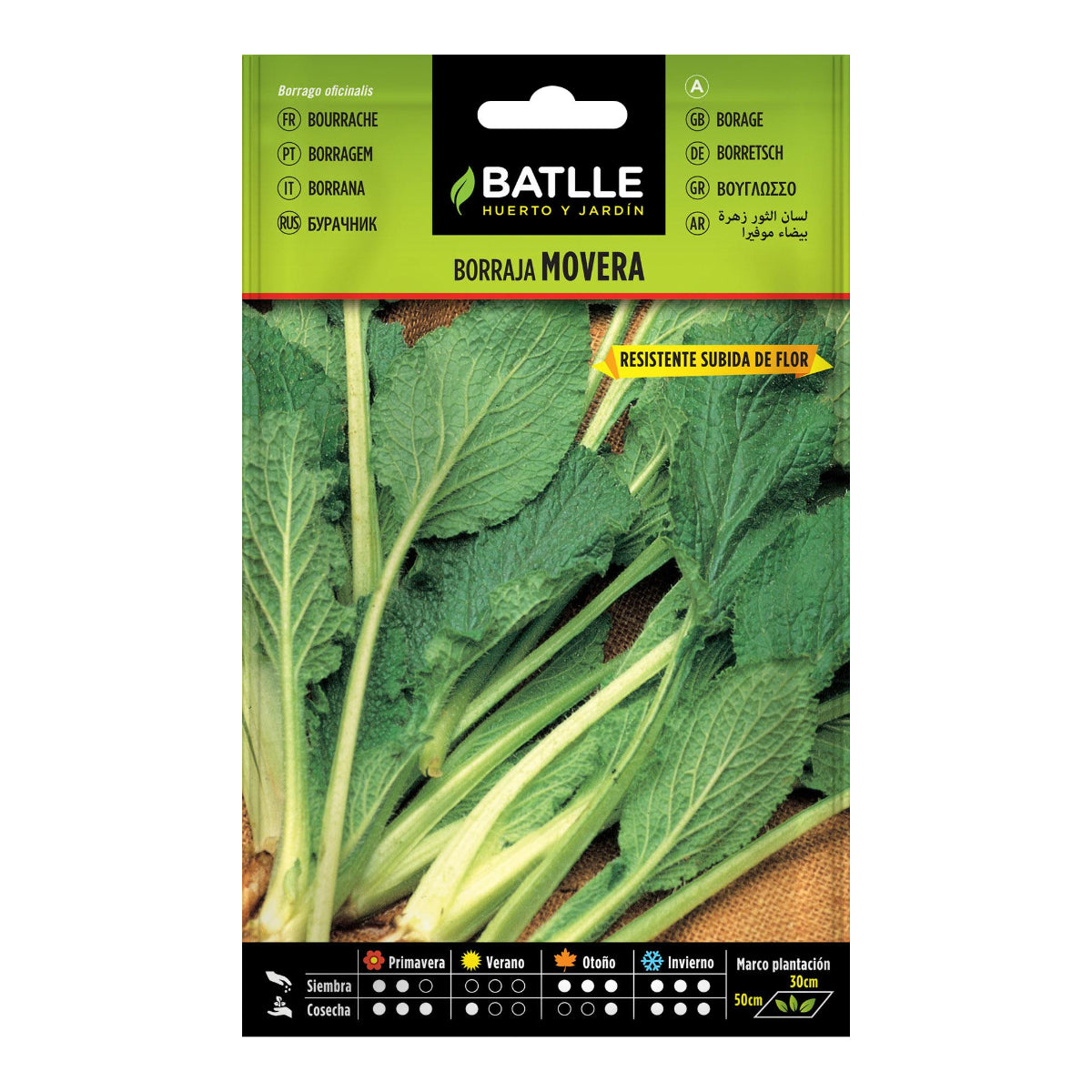 Borage Seeds Movera Batlle