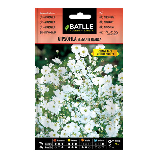 Zaden van elegante witte gipsofila Batlle