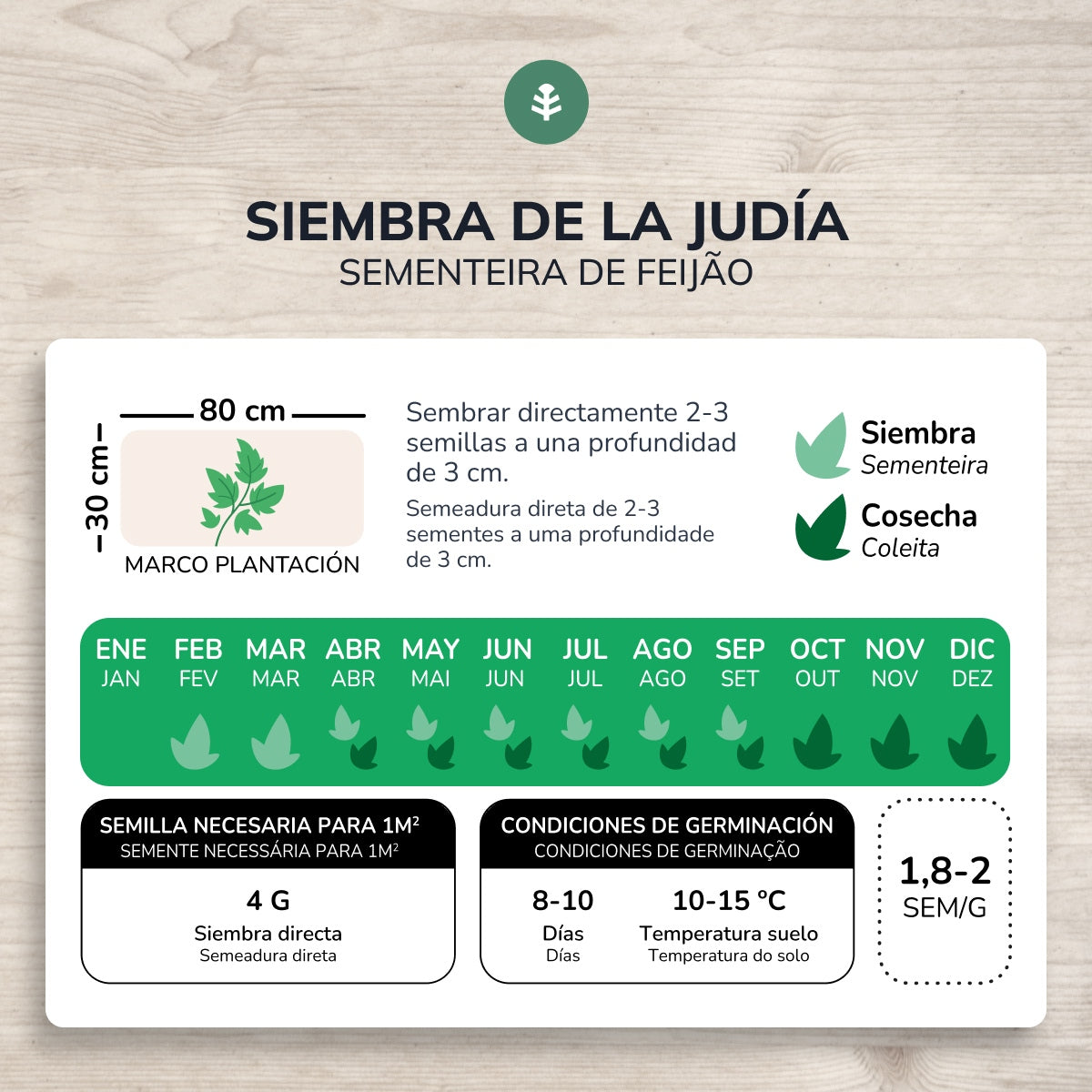 Biologische sperziebonen zaden Planeta Huerto