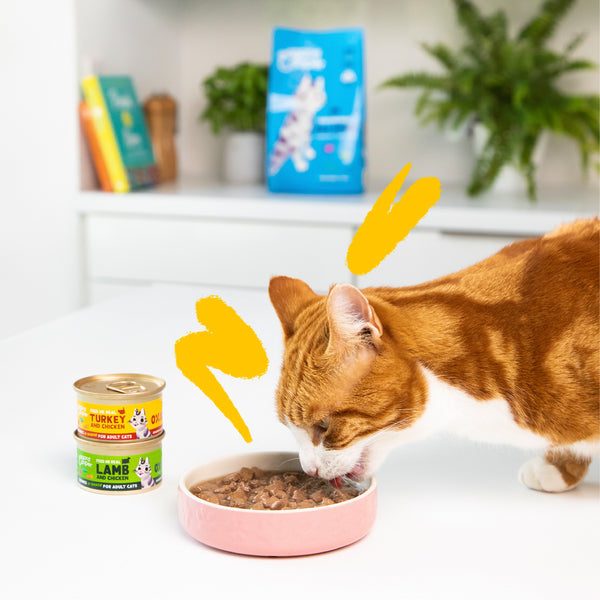 Cibo umido per gatti in salsa Pezzetti di tacchino e pollo Edgard & Cooper 85 g